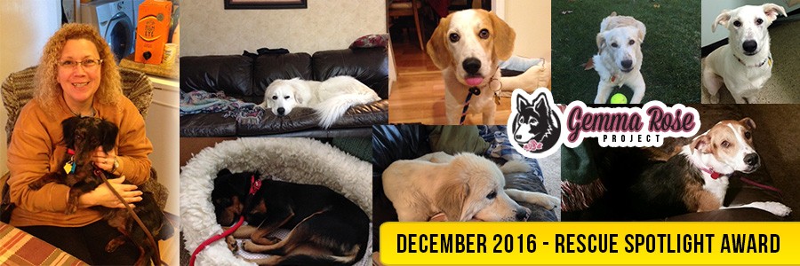 December 2016 Rescue Spotlight