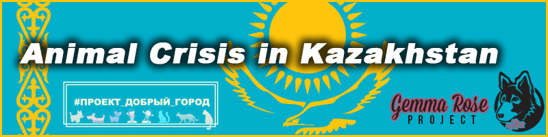 Crisis in Kazakhstan